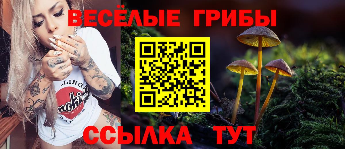 Псилоцибиновые грибы Psilocybe Минеральные Воды