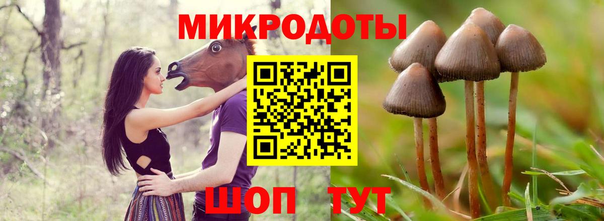 Галлюциногенные грибы Psilocybine cubensis  Псилоцибиновые грибы Magic Shrooms  Вход с VPN  Минеральные Воды 